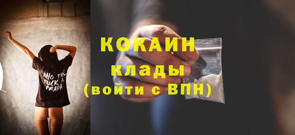СК Елизово