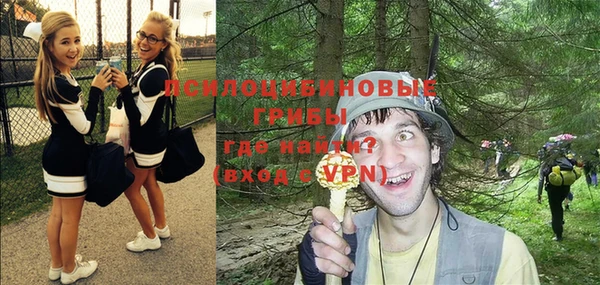 бошки Заволжье
