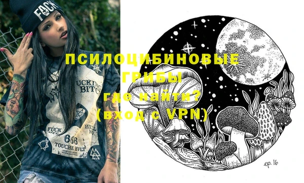 мескалин Заводоуковск